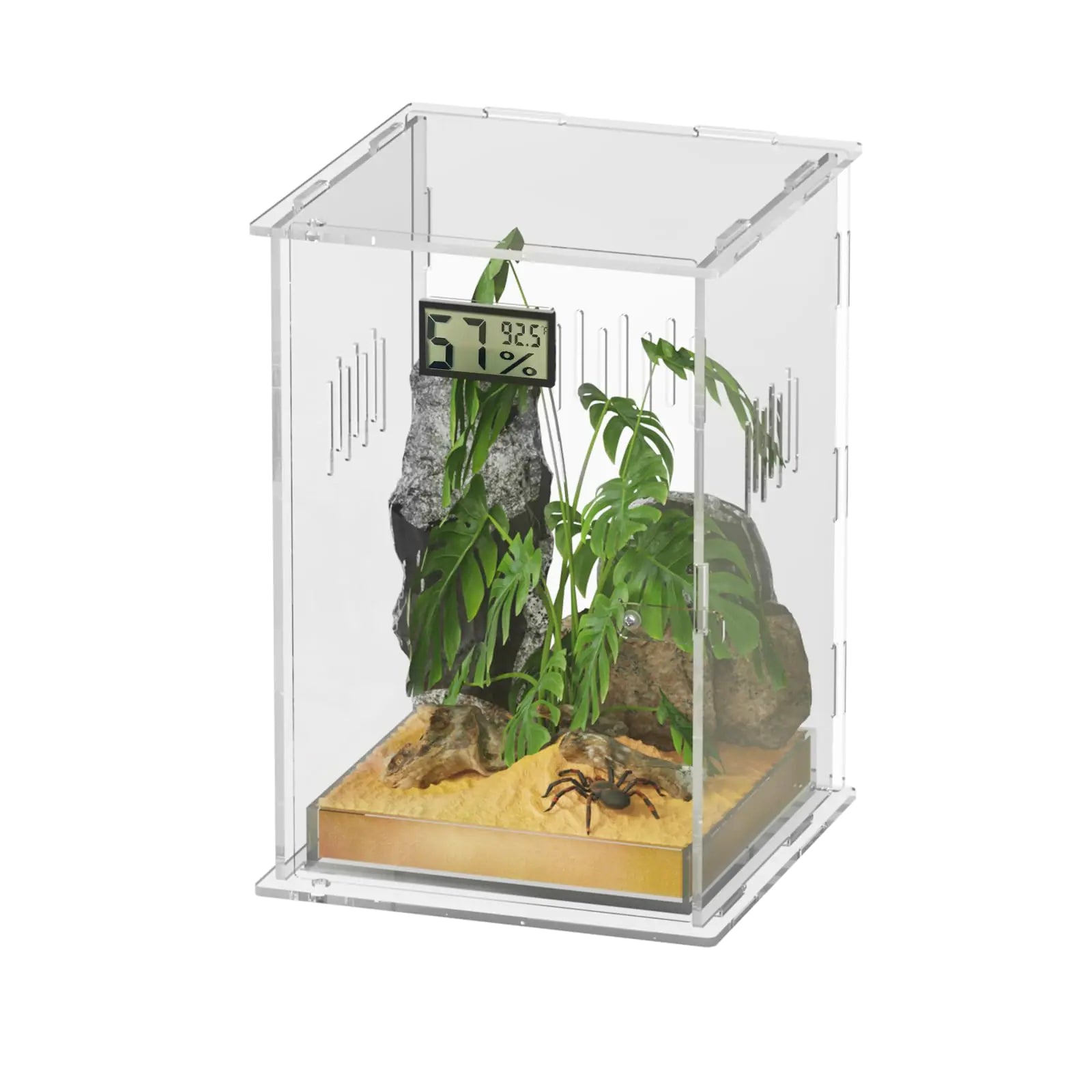 Ghims Reptile Terrariums with Temperature Hygrometer 5.9"x5.9"x9.8" Acrylic Reptile Breeding Box Terrarium Cage Tank for Small Reptile Insect Home Office (Arboreal Small)