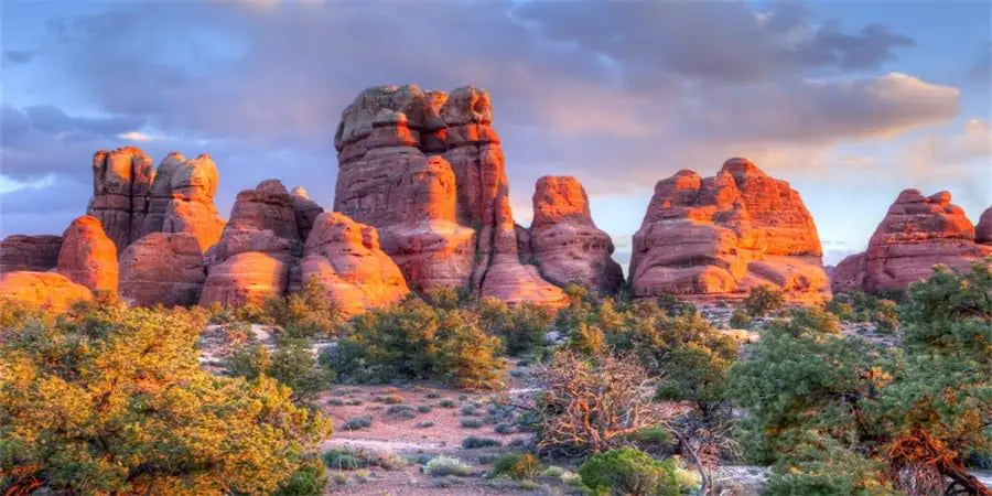 YongFoto Reptile Terrarium Background 24x16 inch Reptile Tank Background Desert Rocky Bush Thorns Western Wilderness Reptile Habitat Background Bearded Dragon Fish Tank Aquarium Background Backdrop