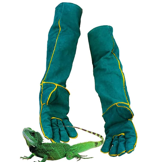 Reptile Resistant Protective Gloves for Pets
